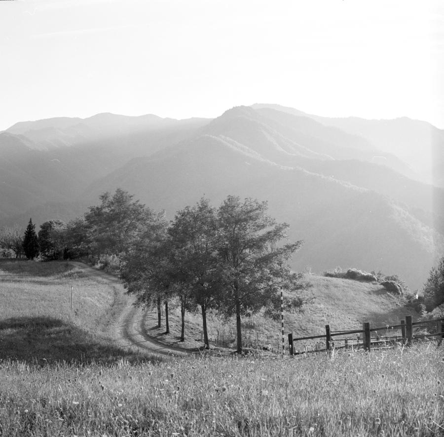 Mugello, Pentacon Six, 80mm Biometar, Agfa