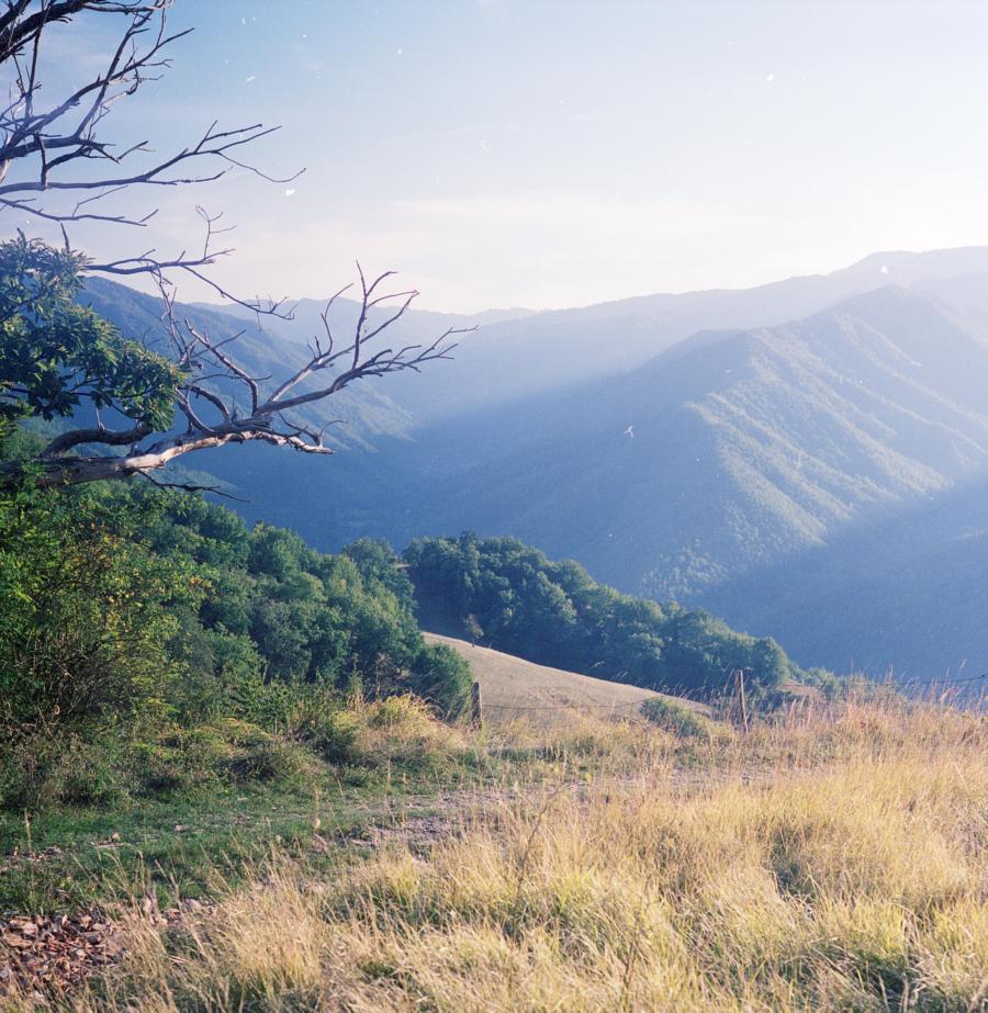 Mugello, Pentacon Six, 80mm Biometar, Kodak