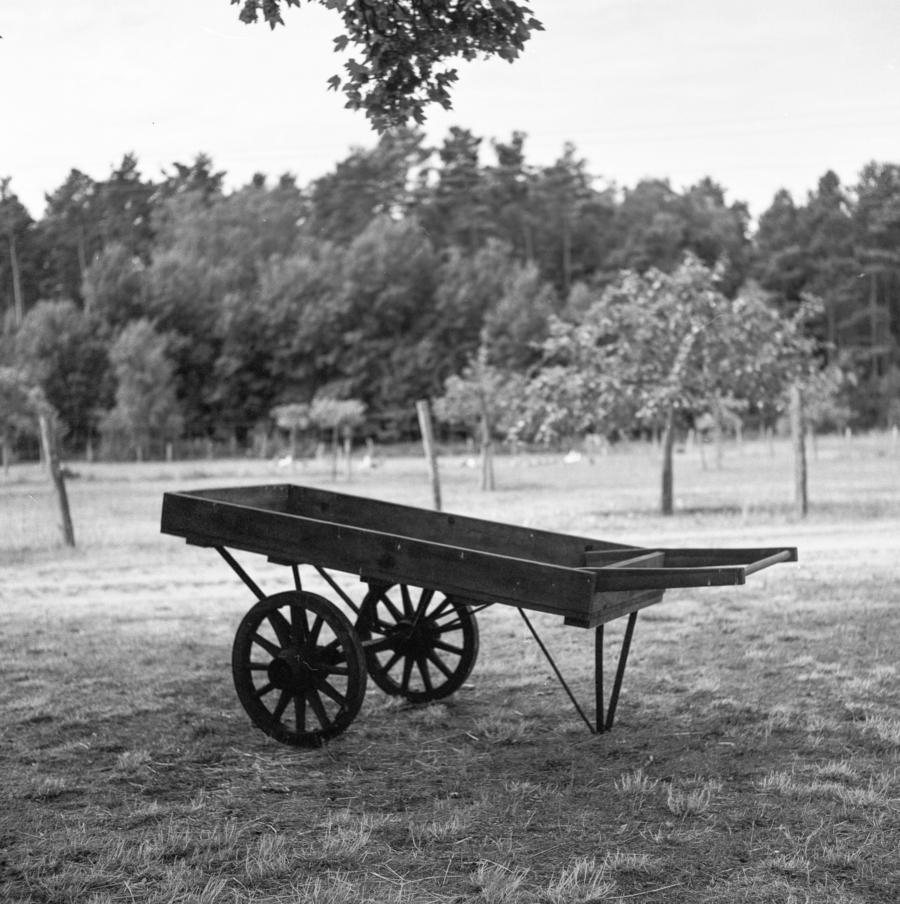 Alte Schubkarre in Annenwalde: Rolleiflex T