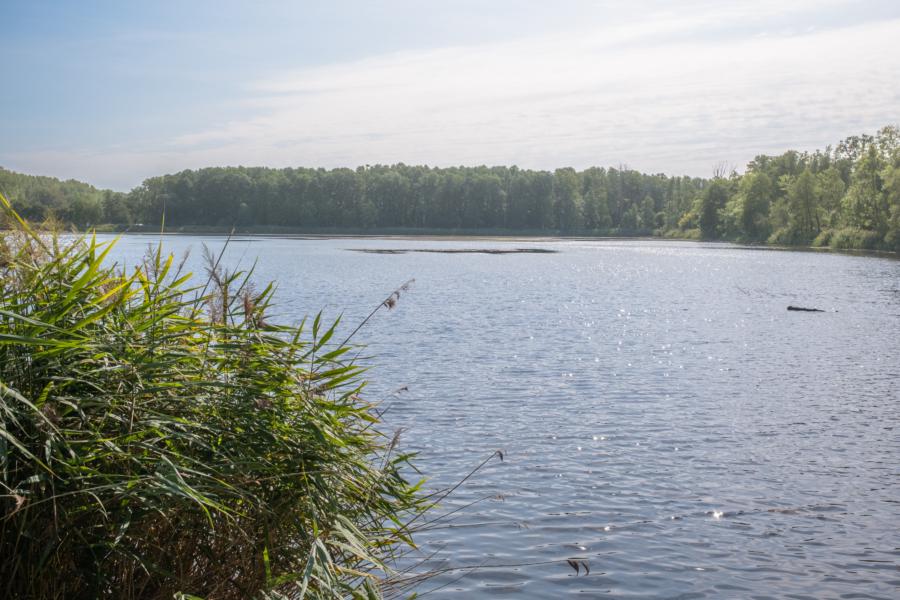 Reckahner Fischteiche - diesmal mit Wasser