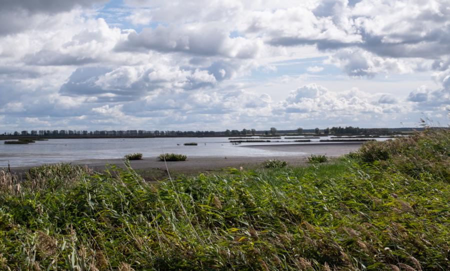 Hinterm Schilf versteckt: Die Flusslandschaft Peenetal