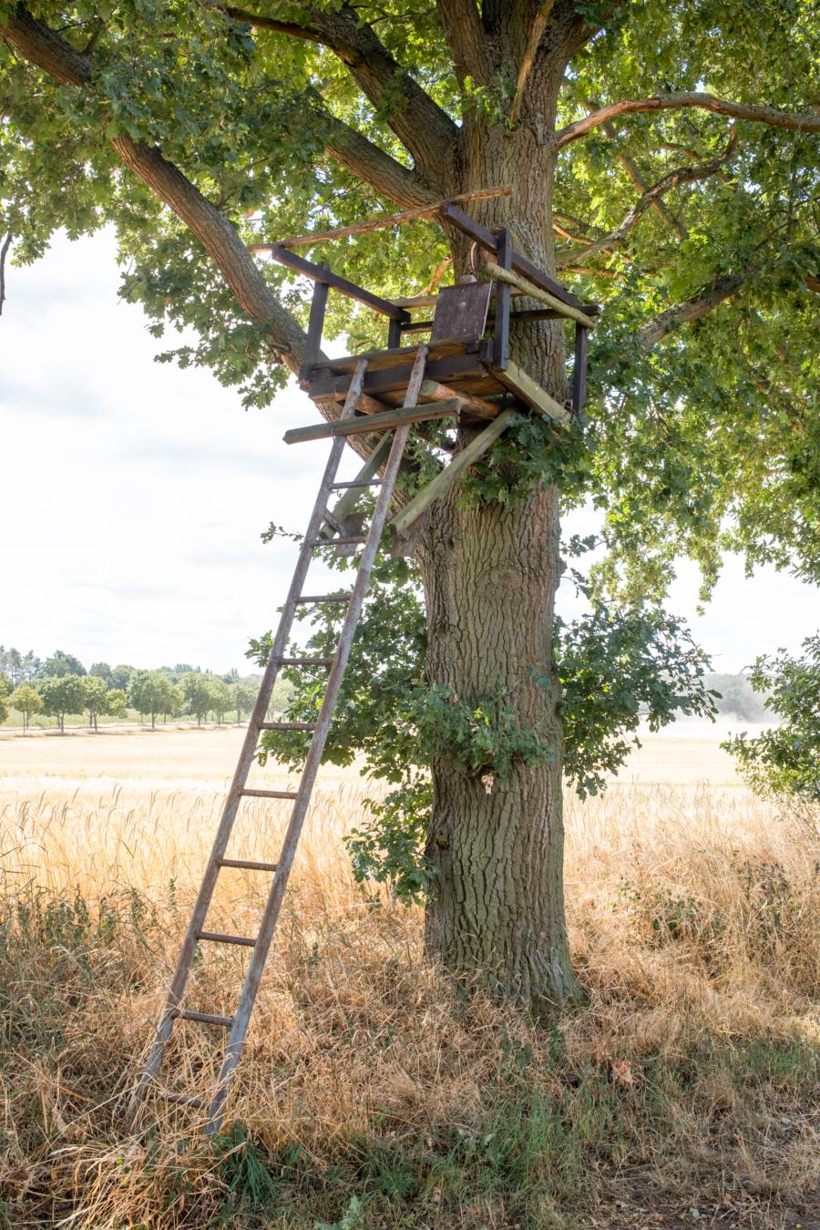 Weg zwischen den feldern von Bagow