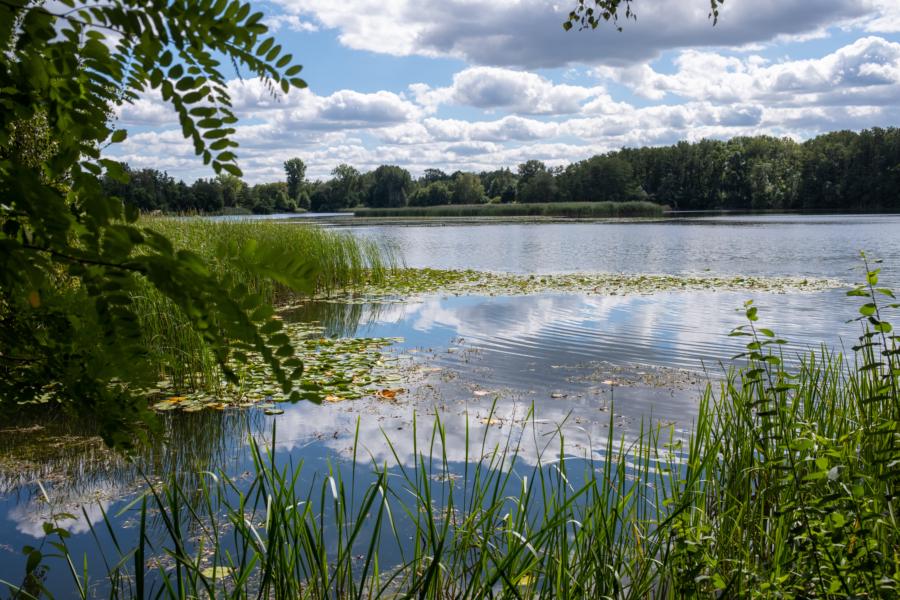 Am Bruchsee von Bagow