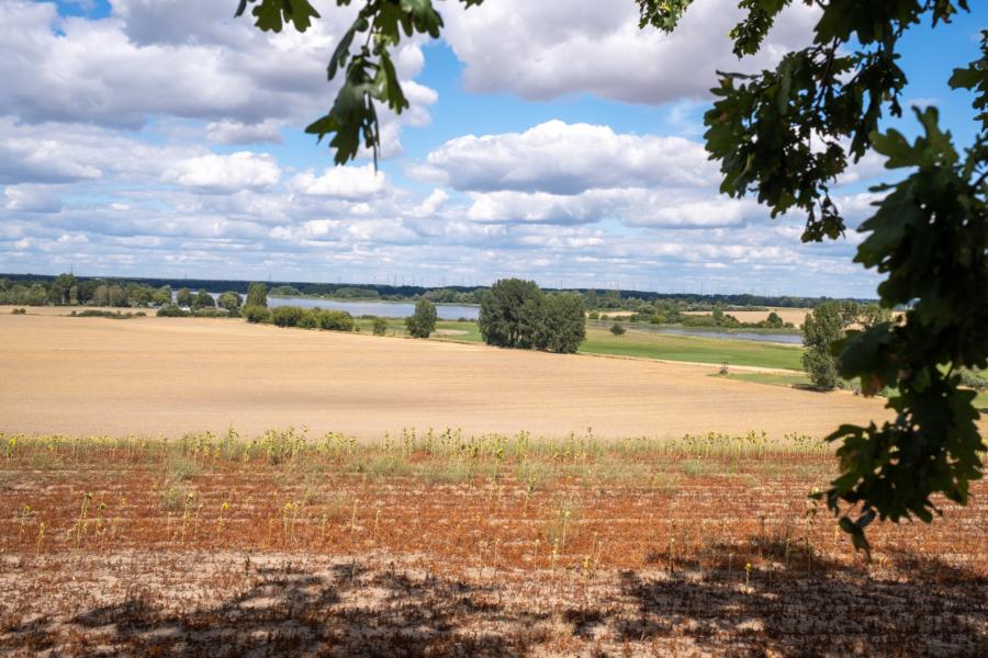 Schöne Aussicht vom Mühlenberg auf den Riewendsee
