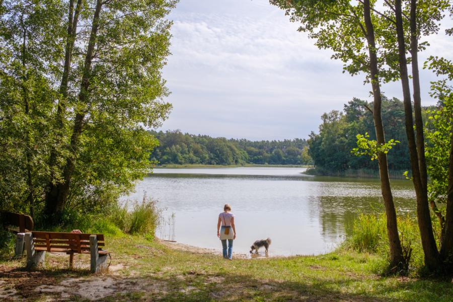 Badestelle am Trintsee