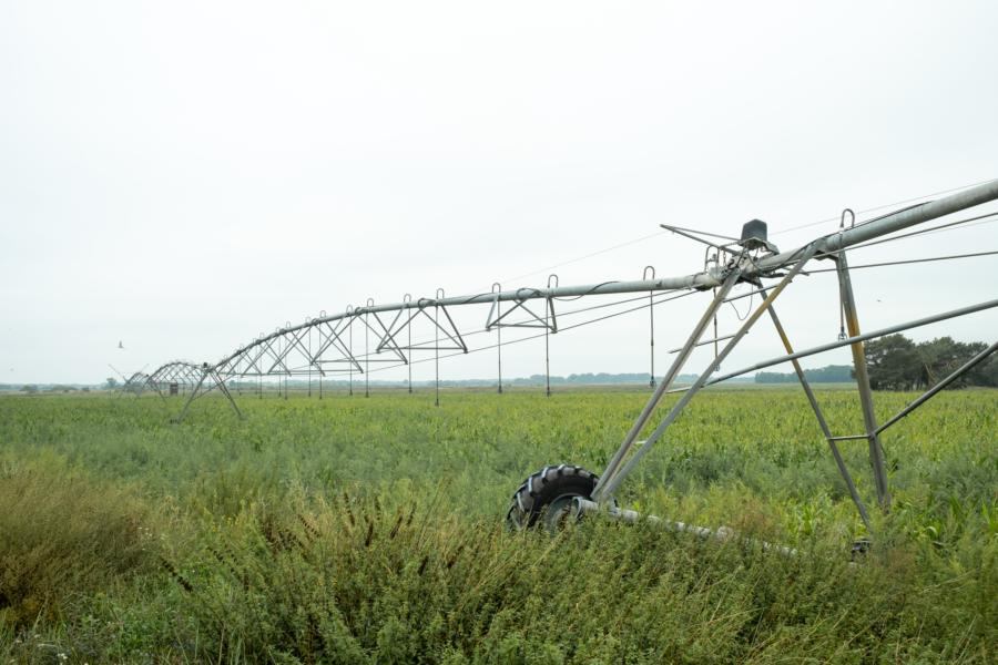 Beregnungsanlage am riesigen Maisfeld
