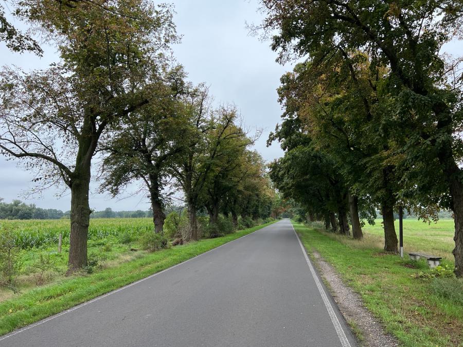 Verbindungsstraße nach Trechwitz