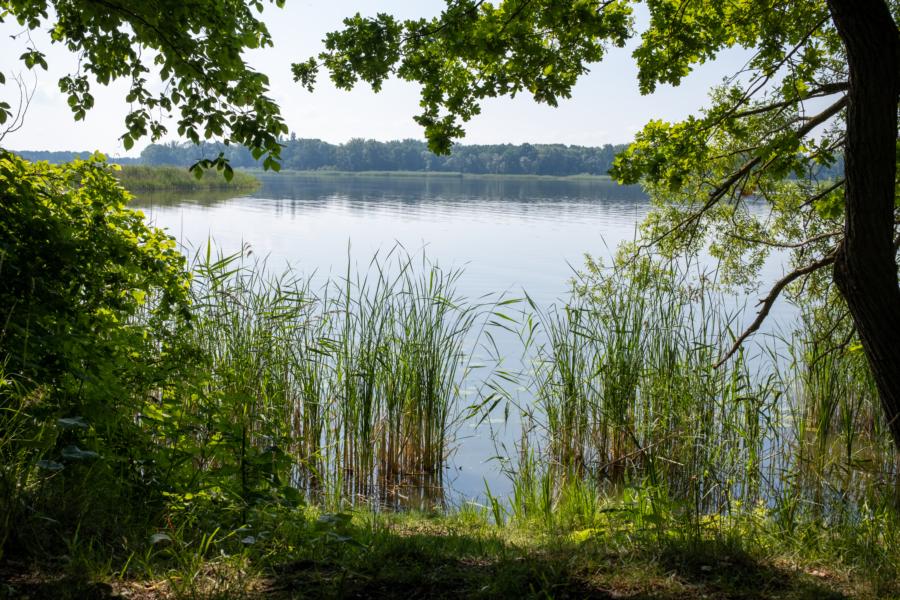 Hautnah am Beetzsee zwischen Butzow und Ketzür