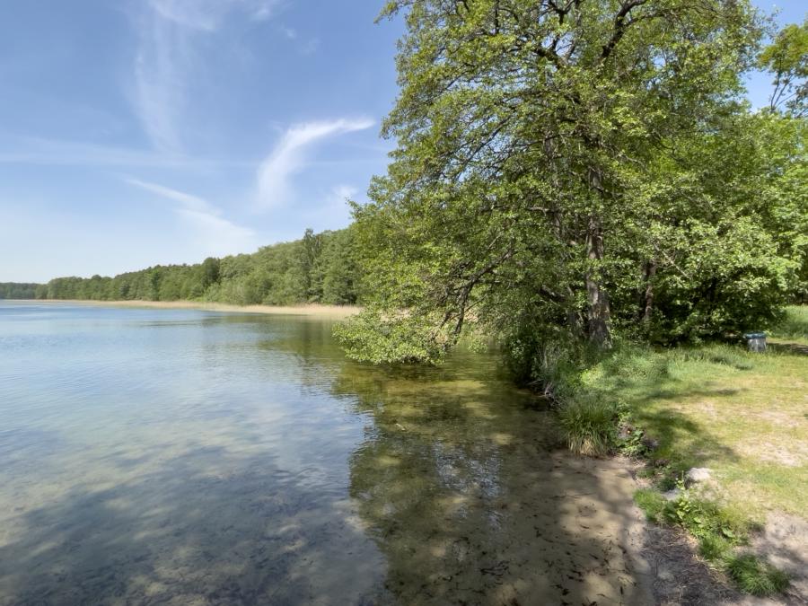 Glasklares Wasser am Dranser See