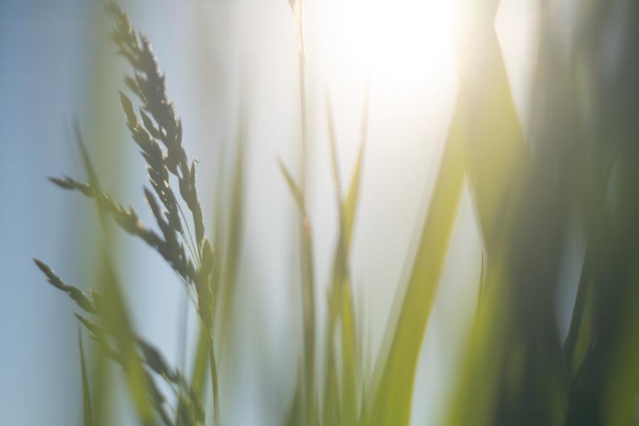 Verträumte Stimmung