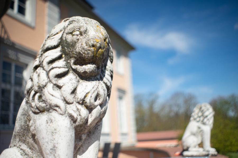 Löwenstatuen - unschöne verzerrte Unschärfe rechts unten beim Löwenkopf