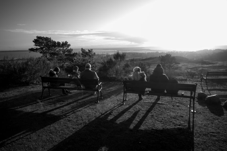 Weite Blicke über Hiddensee vom Dornbusch