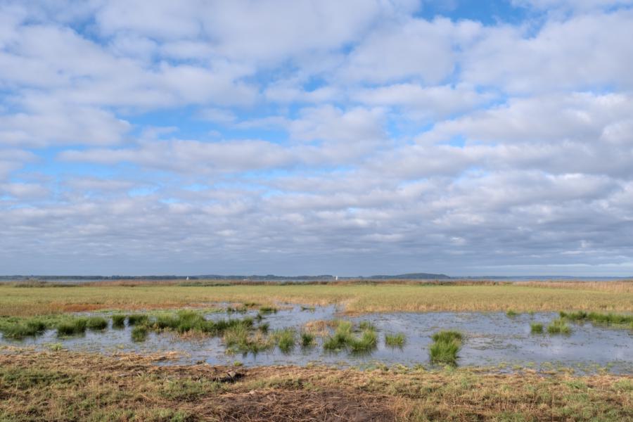 Am Uferbereich im Westen