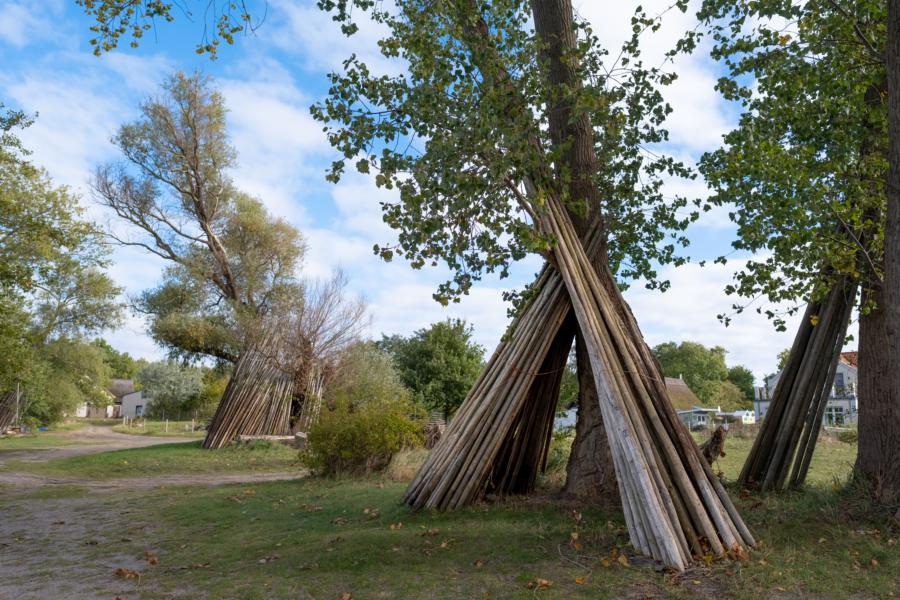 Markierungspfähle in Warthe