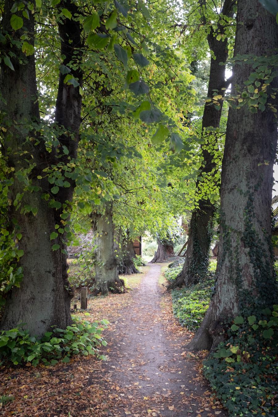 Idyllischer Pfad zur Kirche Liepe