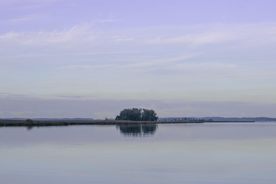 Einsamkeit im Achterwasser. Wo sind die Vögel?