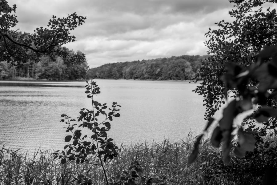 Blick auf den Platkowsee