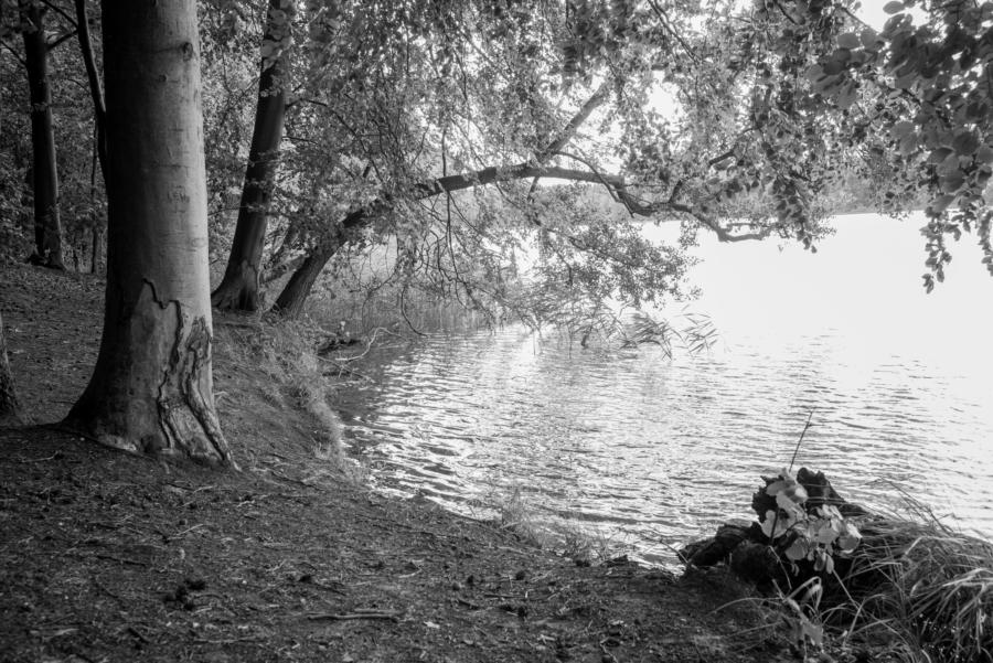 Wasser, Stille und sonst Nüscht: Der Platkowsee