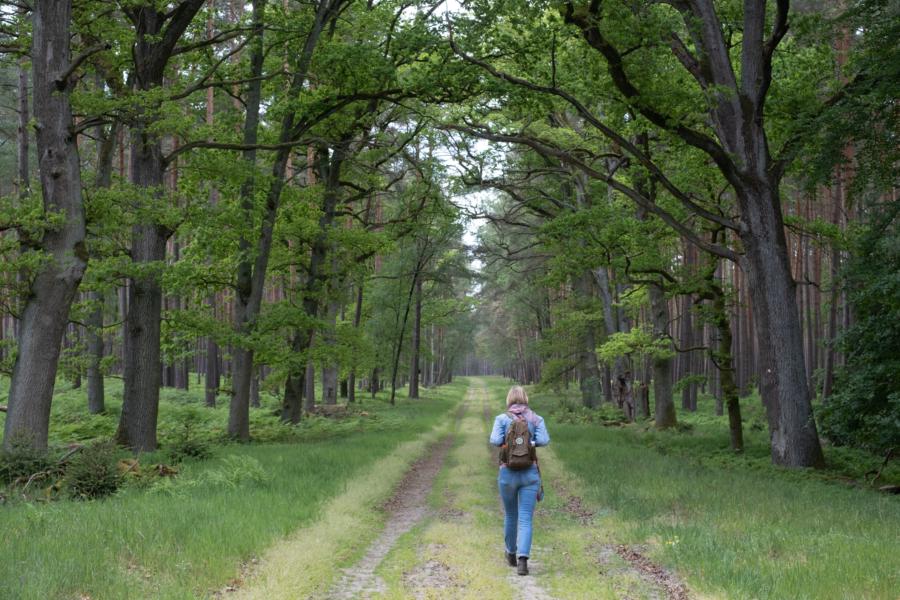 Rückweg nach Bad Wilsnack