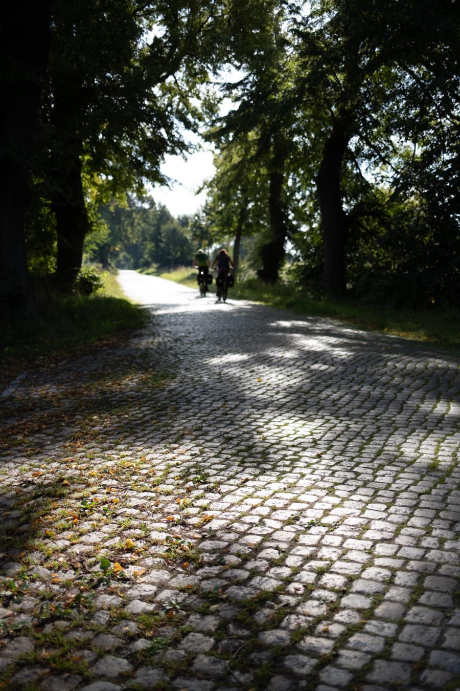 Fieses Pflaster: 20 Kilometer Rüttelweg auf der ehemaligen B105