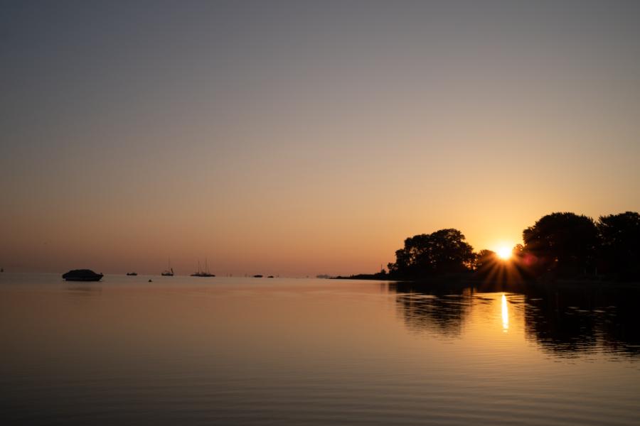 Sonnenaufgang im Bodden