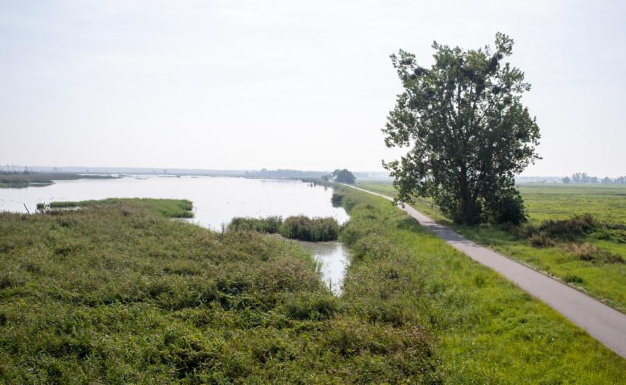 Das Naturparadies am Anklamer Stadtbruch