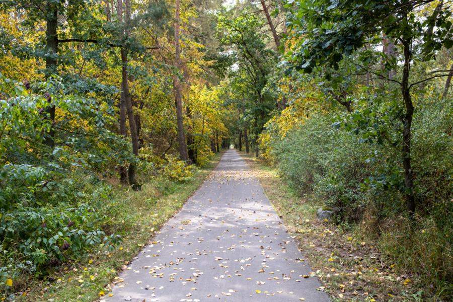 Heimfahrt, Herbstzeit