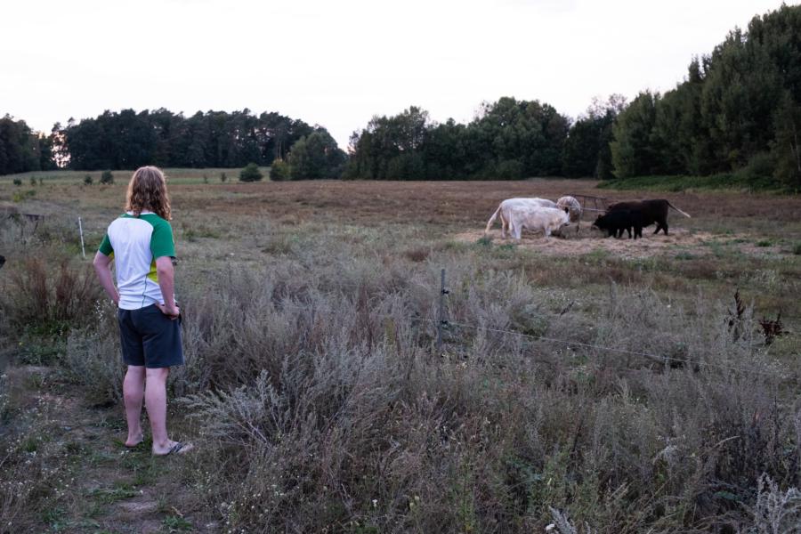Weite Wiesen, glückliche Kühe, himmlische Ruhe: Alte Gärtnerei Annenwalde