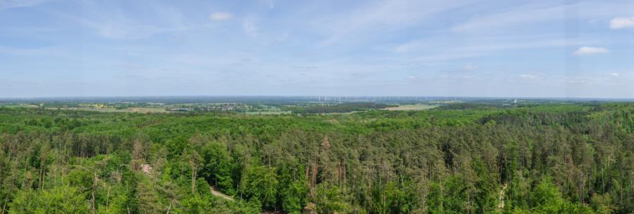 Panoramablick vom Aussichtsturm Ruhner Berge