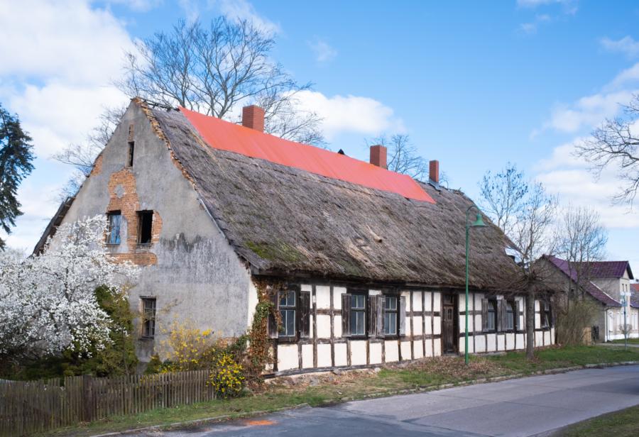 Altes, reetgedecktes Bauernhaus in Görne