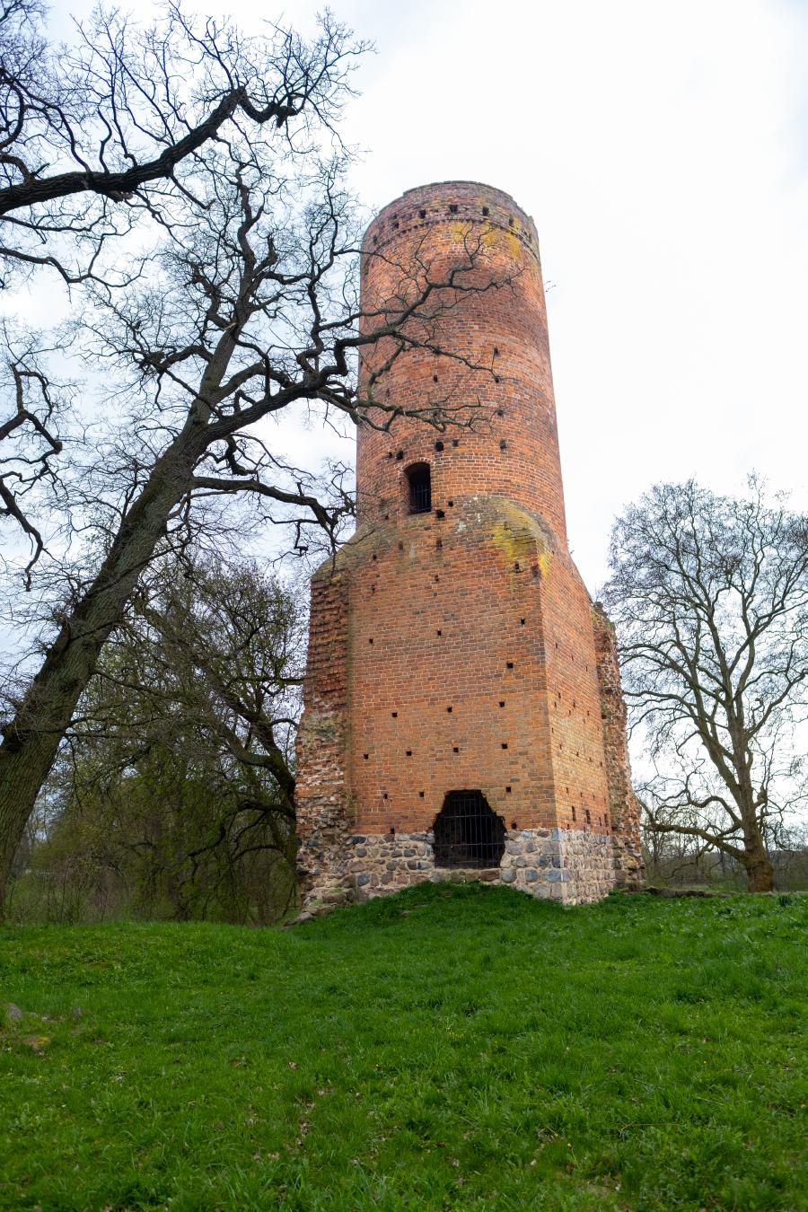 Burgturm der Ruine Blankenburg