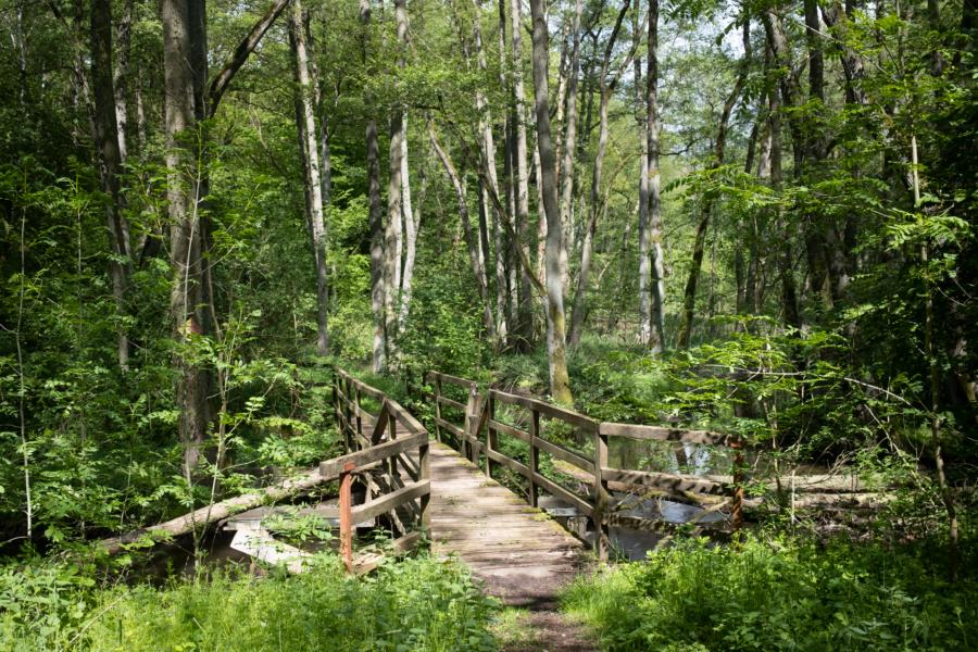 Die Schafstallbrücke im Hainholz