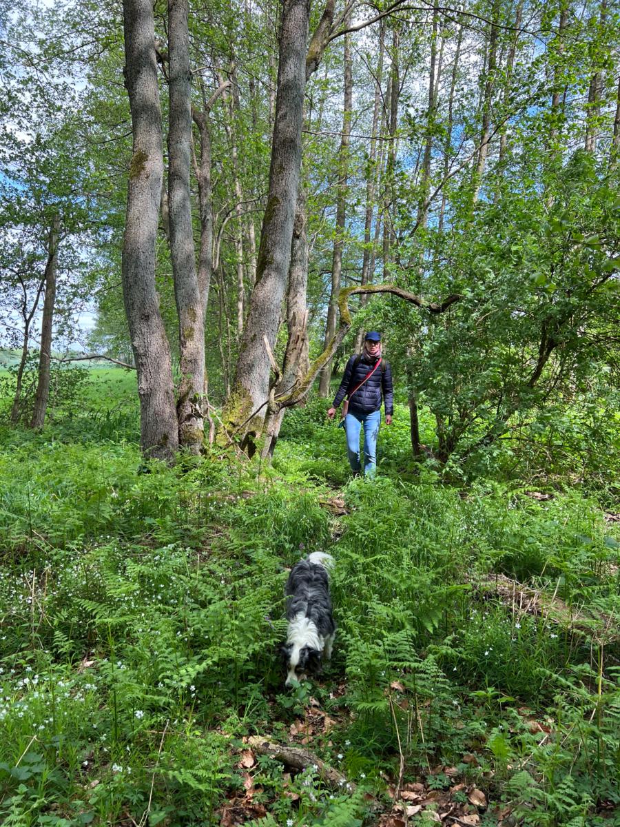 Über den Bahndamm zurück zum Forstweg