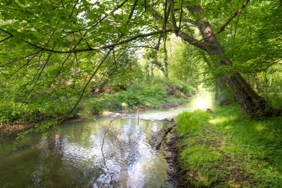 Die Sepenitz am gleichnamigen Ort