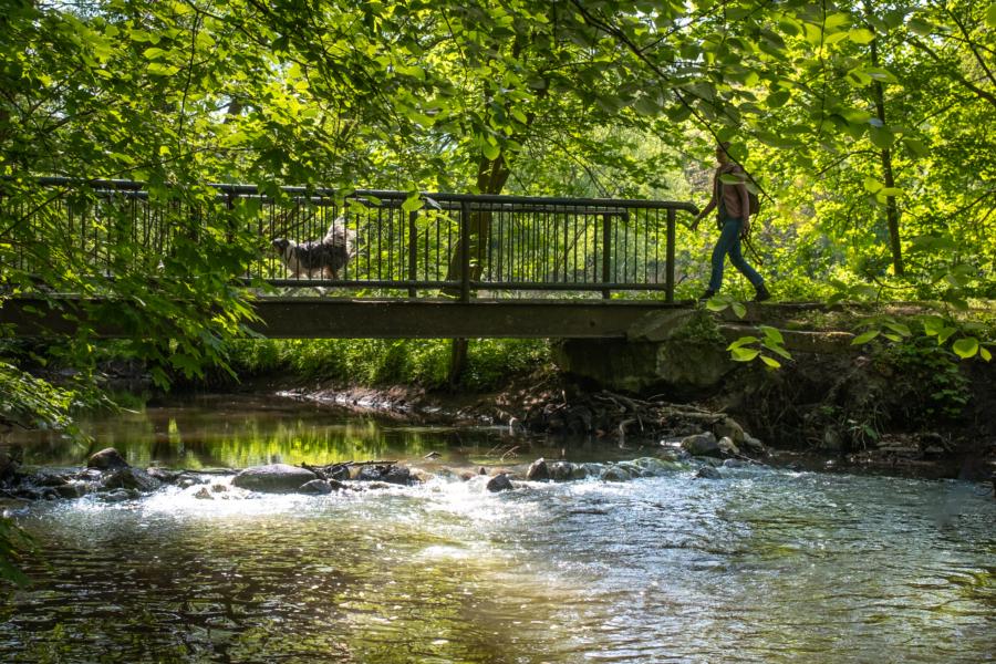 Brücke über die Stepenitz an der Klosterkirche