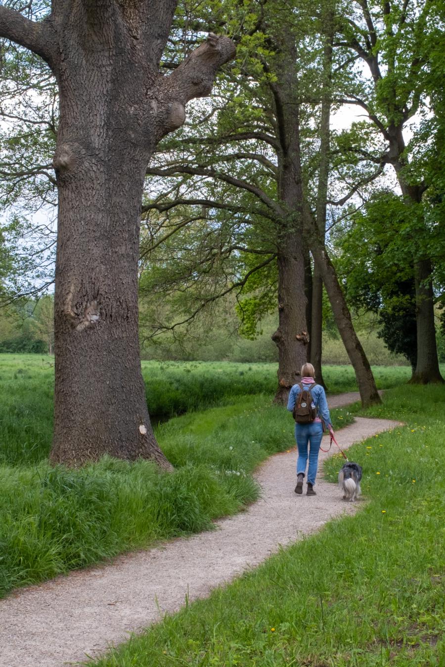 Hübsche Parkwege im Schlosspark Meyenburg
