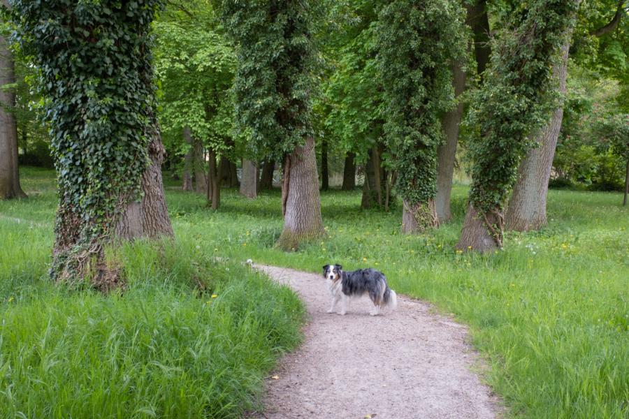 Schlosspark Meyenburg
