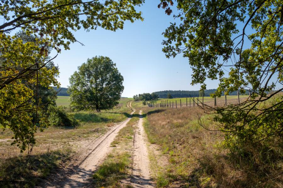 Vom Gollenberg am Rollfeld entlang Richtung Süden