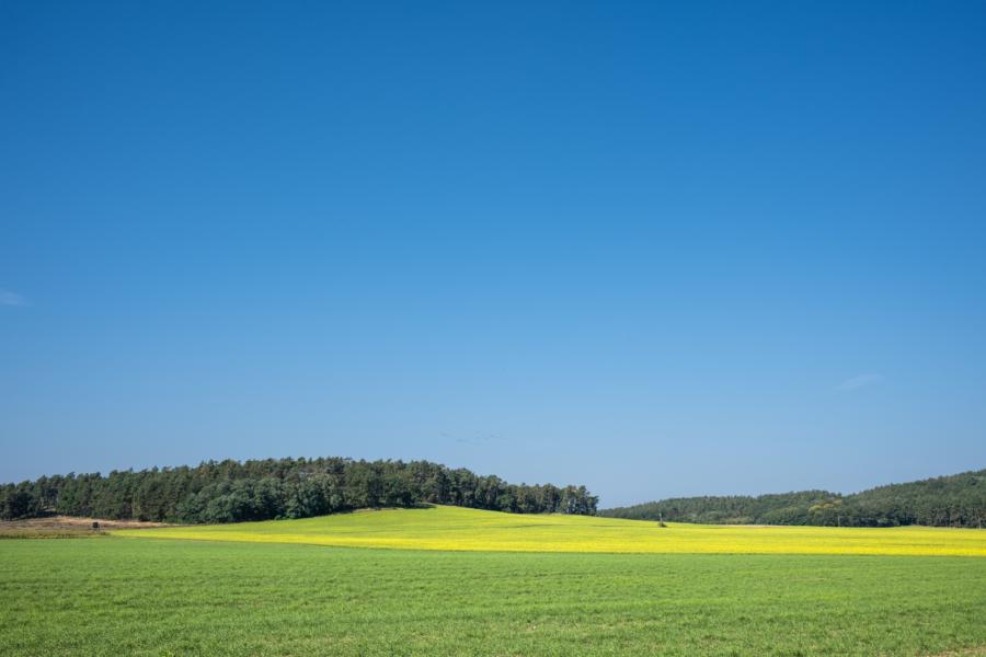 Sanfte Hügel, weiter Himmel: die Hügelketten südlich Stölln/Rhinow