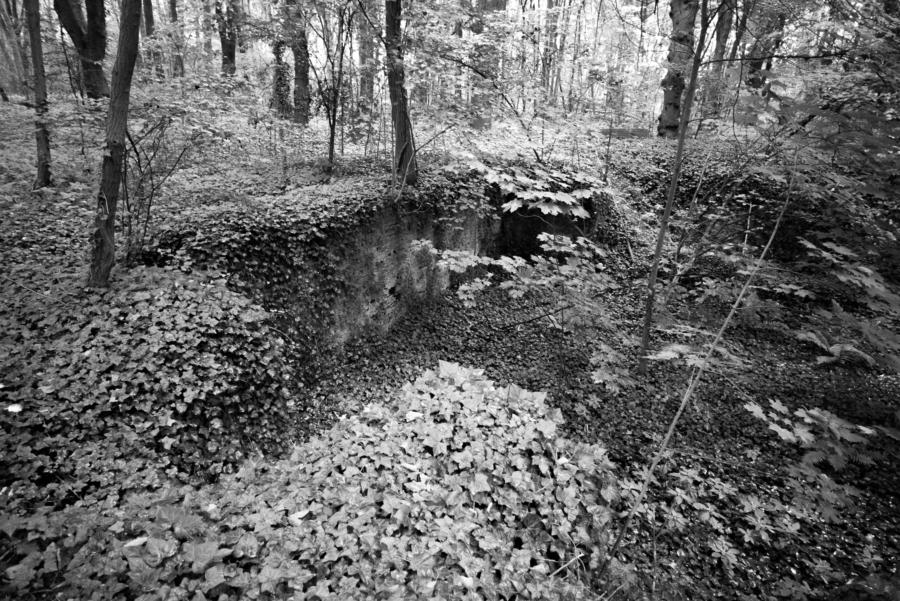 gemauerte Grube - eine Gruft?
