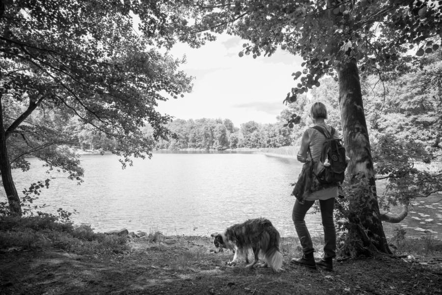 Am Schwarzen See im Grumsin