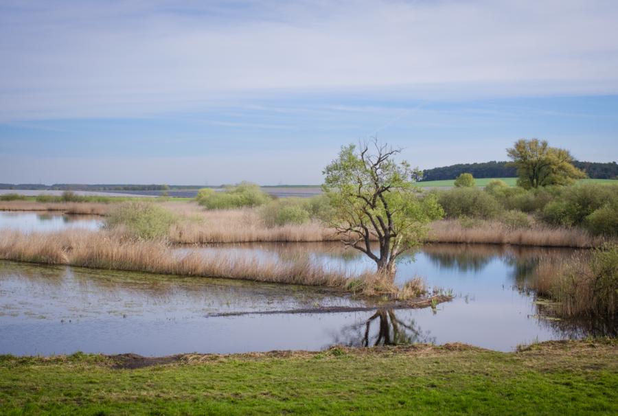 Blick vom Beobachtungsturm bei Ketzür