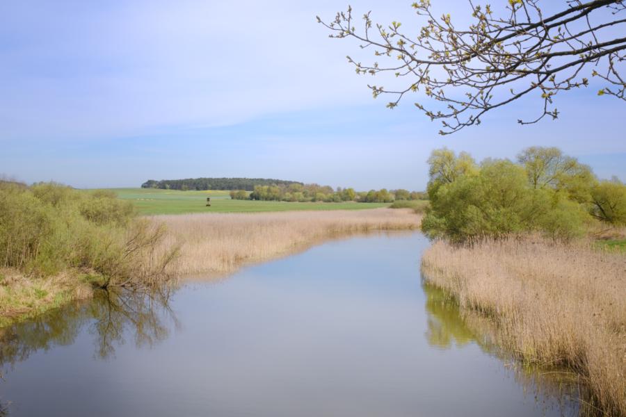 Zwischen mittlerem und oberen Beetzsee