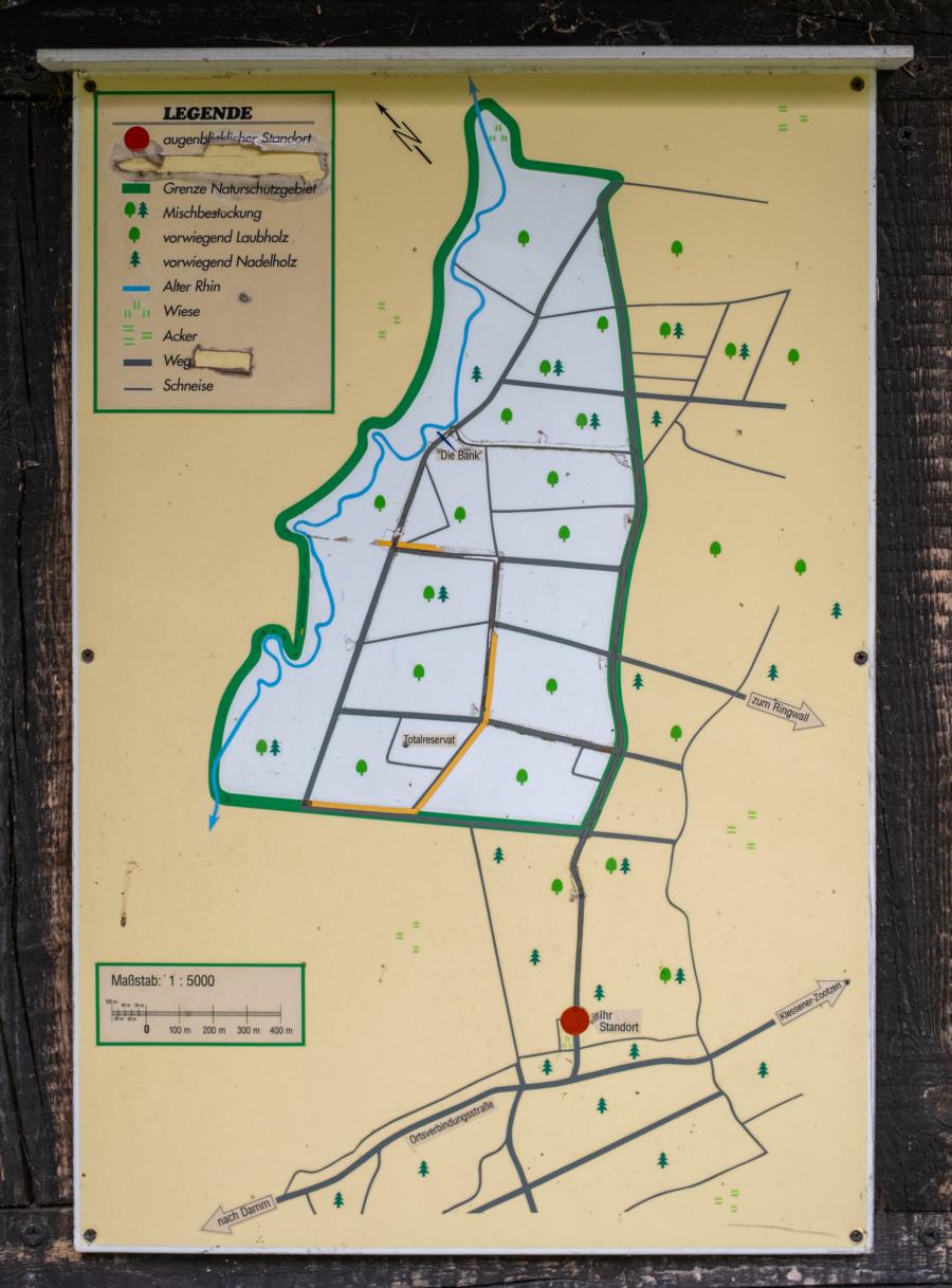 Wegenetz im NSG Zootzen