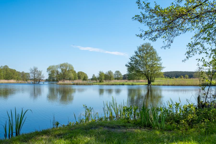 Erdelöcher am Pritzerber See