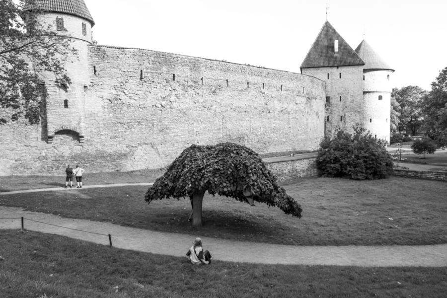 Stadtmauer Tallinn