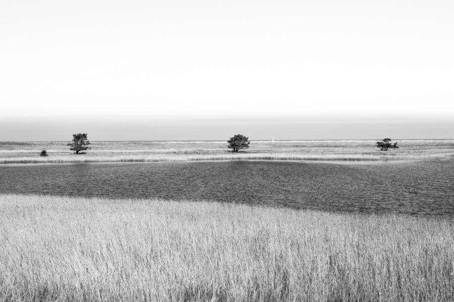 Boddenlandschaft Prerow / Darßer Ort