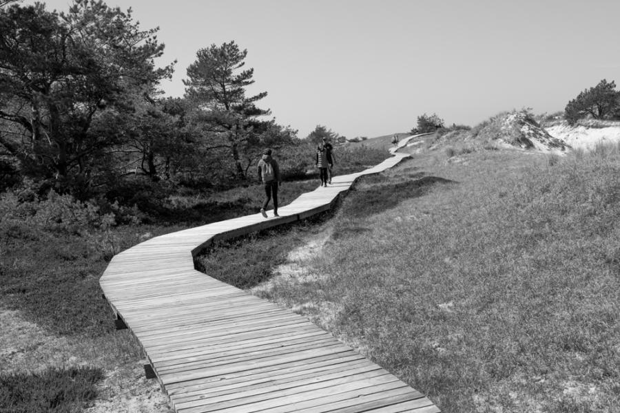 Boddenlandschaft Prerow / Darßer Ort