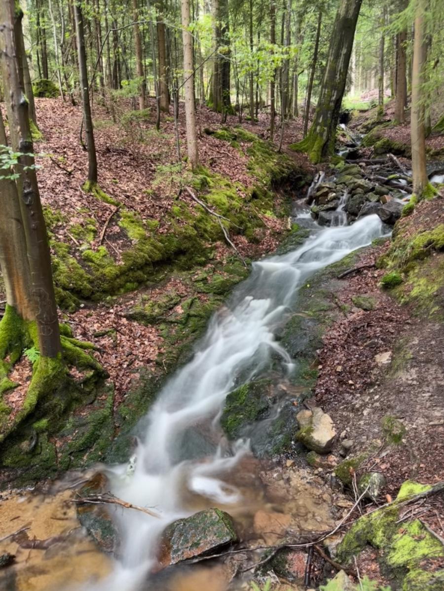 Wasserläufe an der Taslsperre Sosa