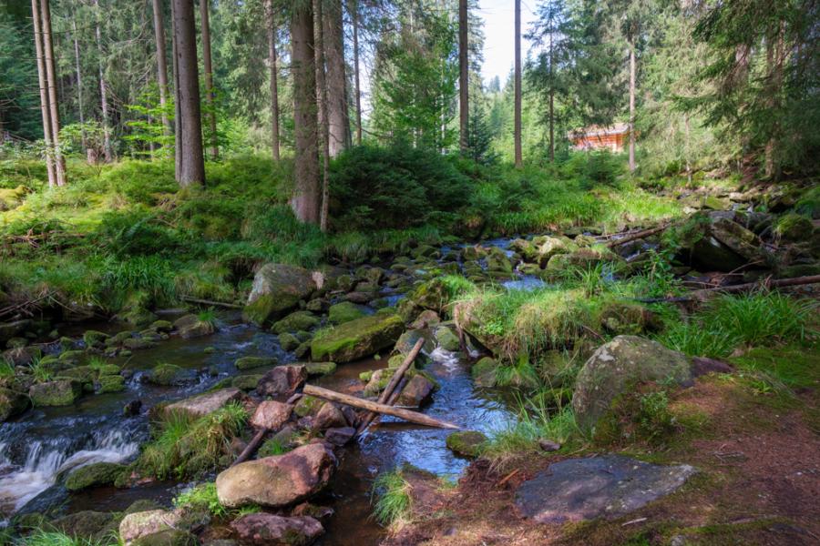 Der Steinbach bei Erlabrunn